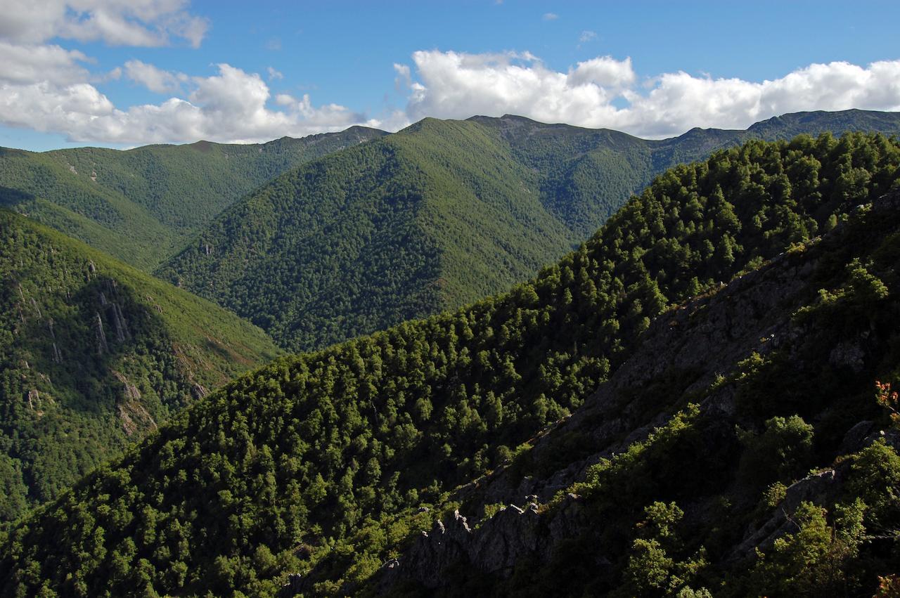 El Mirador De Fuentes Del Narcea Hotel Monco ภายนอก รูปภาพ