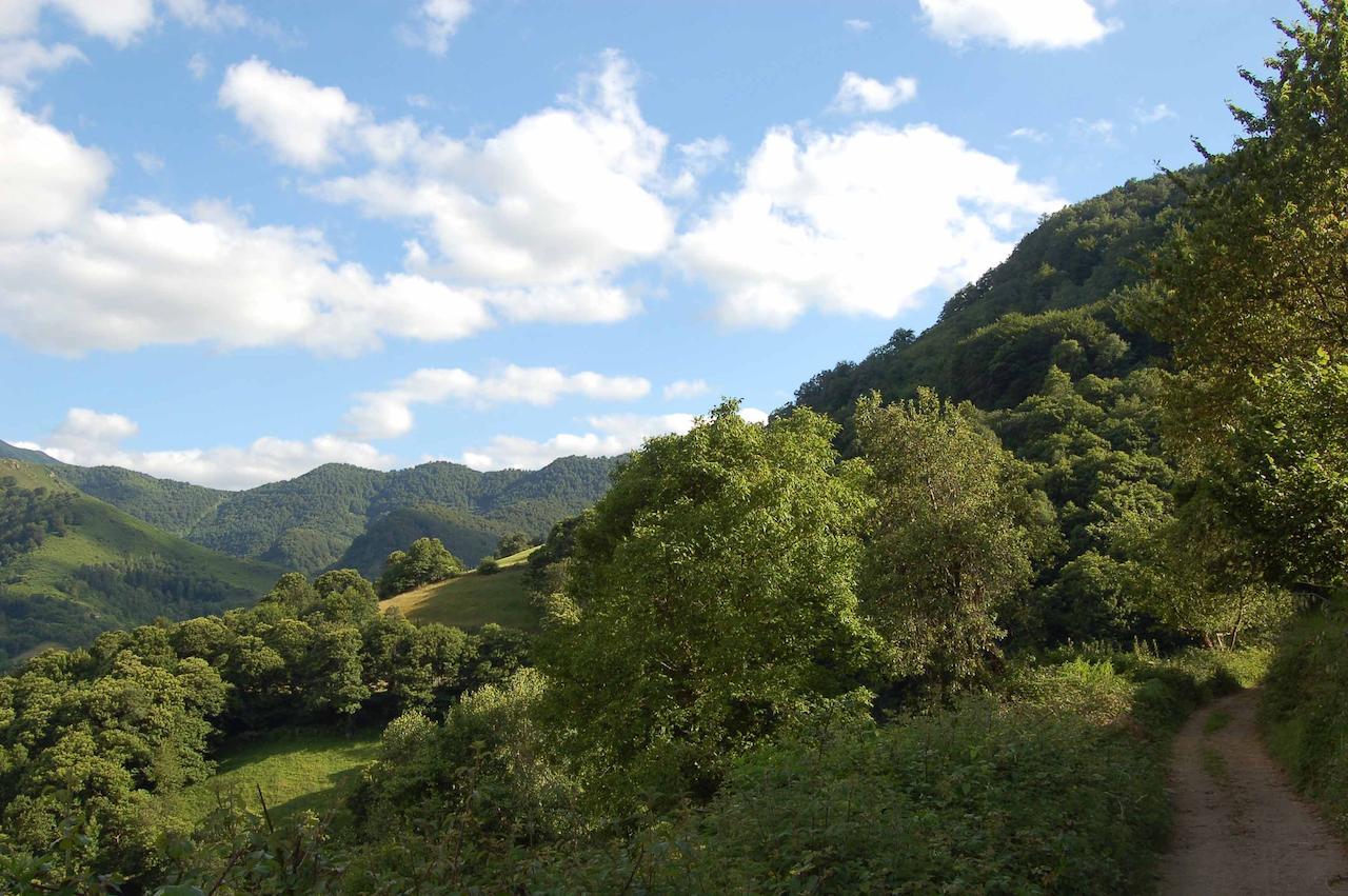 El Mirador De Fuentes Del Narcea Hotel Monco ภายนอก รูปภาพ